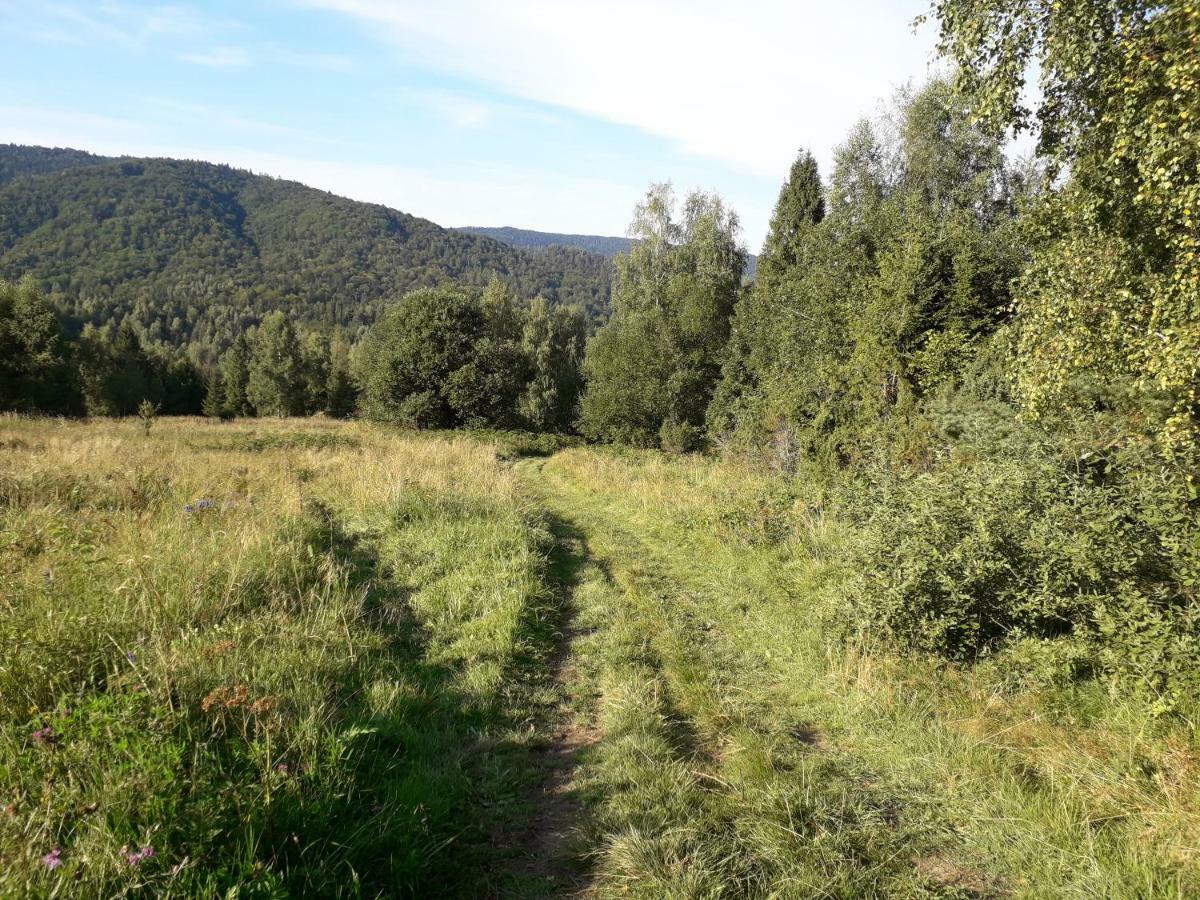 齐斯纳Lesne Berdo Przyslup住宿加早餐旅馆 外观 照片